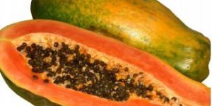 Fresh Papaya