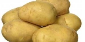 Fresh Potato