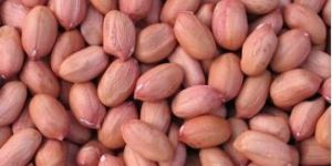 Red Groundnut