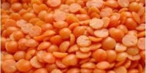 Red Masoor Dal
