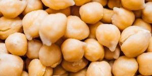 White Chickpeas