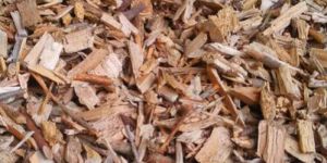 Wooden Chips