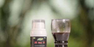 2 in 1 Larvicide Liquid