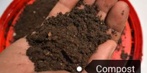 Organic Compost