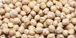 White Chickpeas