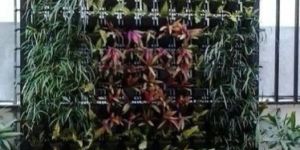 Vertical Garden Panel