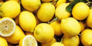 Fresh Lemon