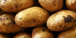 Fresh Potato