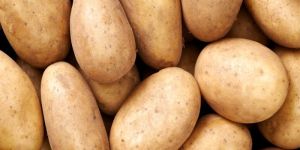 Fresh Potato