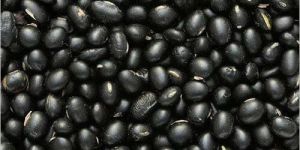 Whole Black Lentils