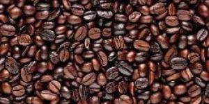 Arabica Roasted Coffee Beans