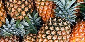 Pine Apples