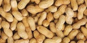 Raw Peanut