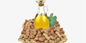 Groundnut Oil
