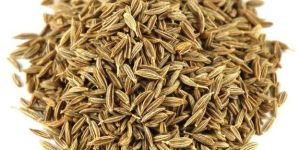 Cumin