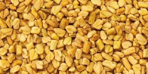 Fenugreek