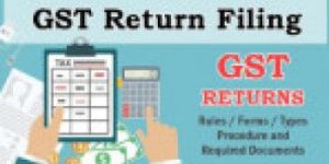 Professional Tax Registration