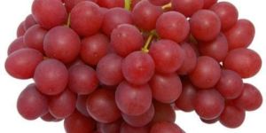 Fresh Red Grapes