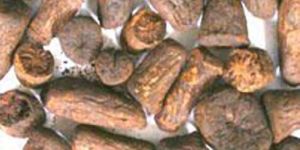 Roasted Chicory Roots