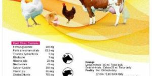 Digilon Plus Liver Protector