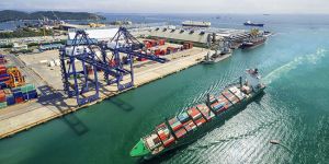 Brand Rate Fixation Services