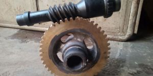 Worm Wheel