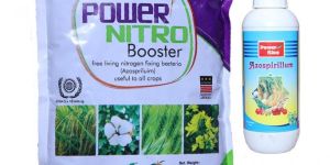 Azospirillum Bio Fertilizer