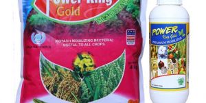 Potash Mobilizing Bacteria Bio Fertilizer