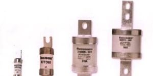 BSLV Industrial Fuse