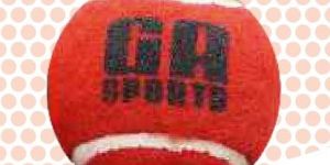 Tennis Cricket Ball