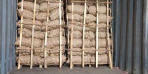 International Freight Forwarder