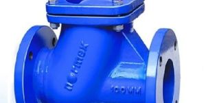 Normex Ball Type Check Valve
