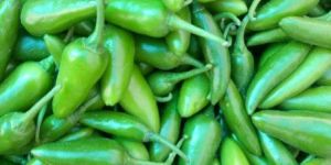 Fresh Green Chilli