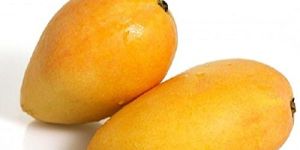 Fresh Mango