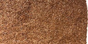 Flax Seed