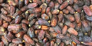 Mabroom Dates