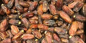 Mashrooq Dates