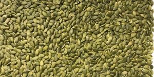 Pumpkin Seeds