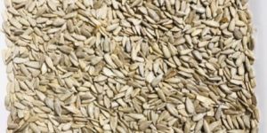Sunflower Seeds