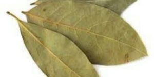 Dried Bay Leaves