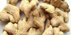 Dried Ginger