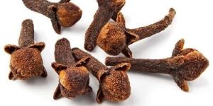 Clove Pods