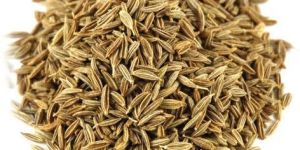 Cumin Seeds