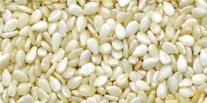 White Sesame Seeds
