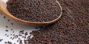 Mustard Seeds