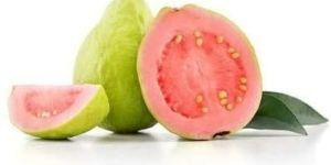 Taiwan Pink Guava