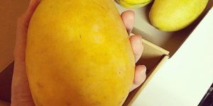 Fresh Mango