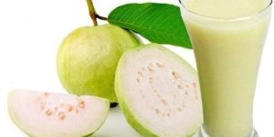Guava Pulp