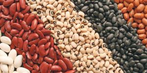 Kidney Beans