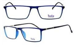 C6 TP 5619 Spectacle Frame